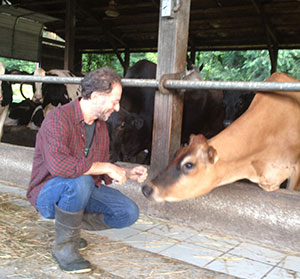 Rabinowitz on dairy farm