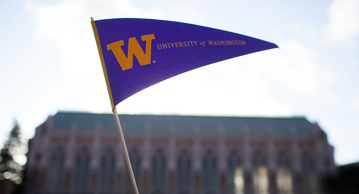 University of Washington purple and gold flag waves in front of Suzzallo Library