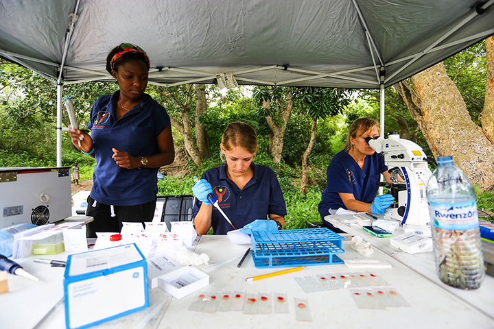 Scientists titrating in the field