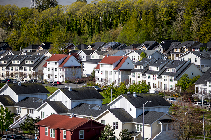 Houses in a housing development