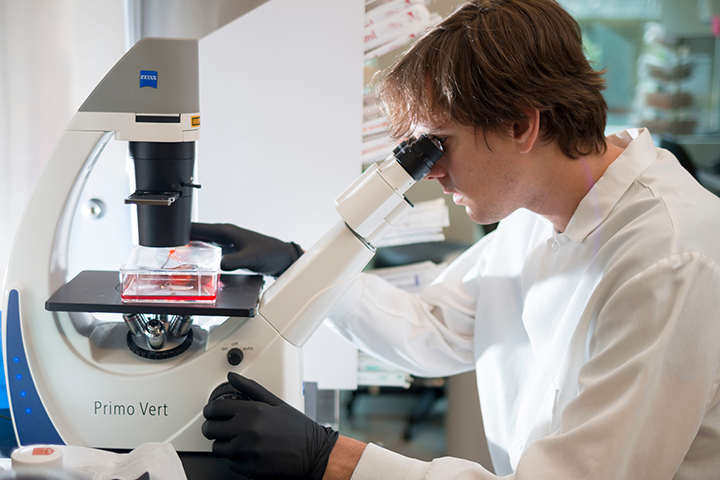 A researcher at a microscope