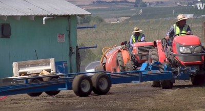Two people drive tractors
