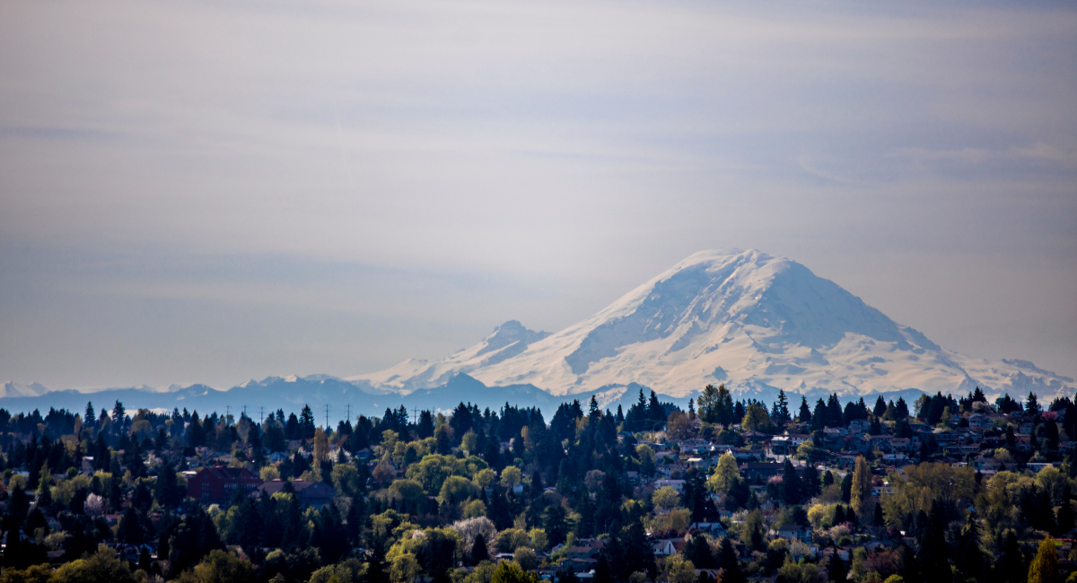 Mount Rainier stands behind hill of houses and evergreen trees