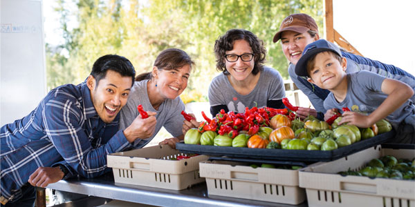 Sipos and Otten (center) with Jonathan Chen, a teaching assistant, and Perry Acworth, manager of UW Farm.