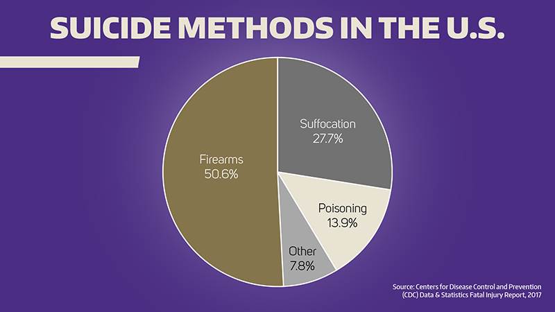 Firearm suicide pie chart