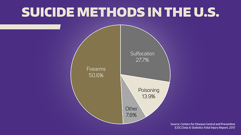 suicide pie chart for usa