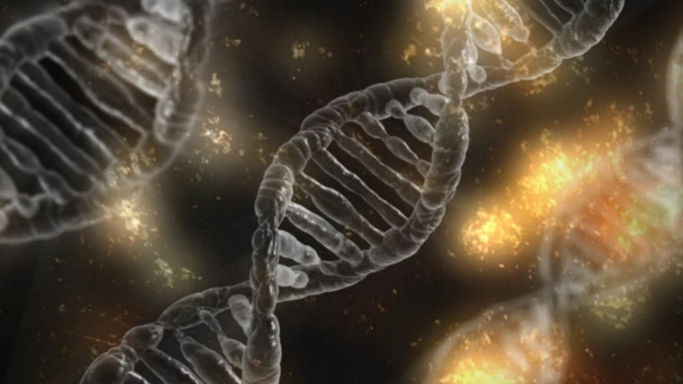 Illustration of DNA strands.