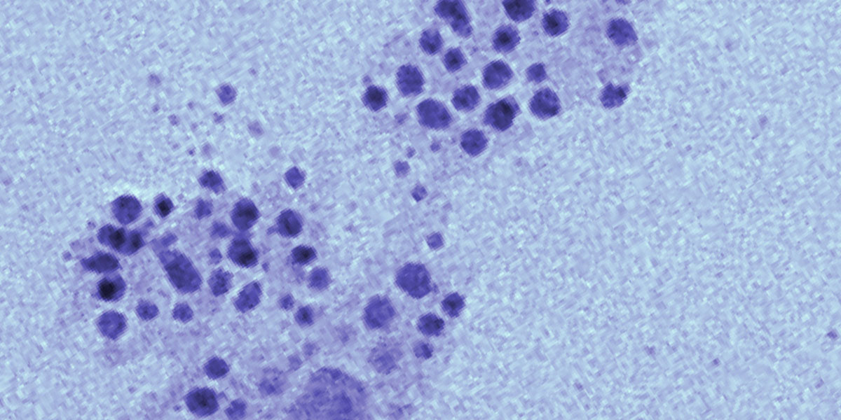 TEM image of silver nanoparticles formed from silver ions in solution.