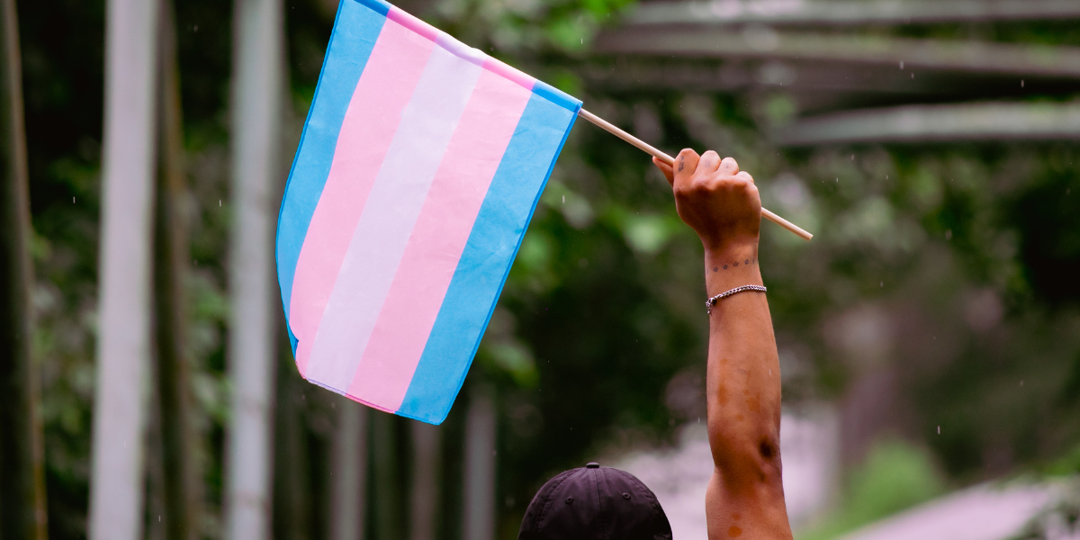 A hand grasps a trans flag and holds it in the air