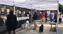 Visitors at the Ballard Commons empathy exhibit